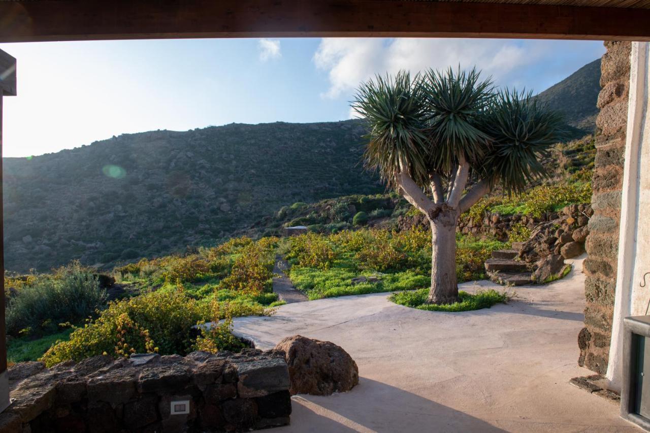 Dammusi Il Serralh -pantelleria- Casa vacanze Scauri (Sicily)