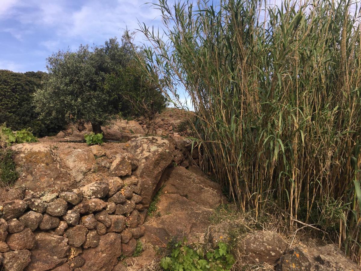 Casa vacanze Dammusi Il Serralh -pantelleria-