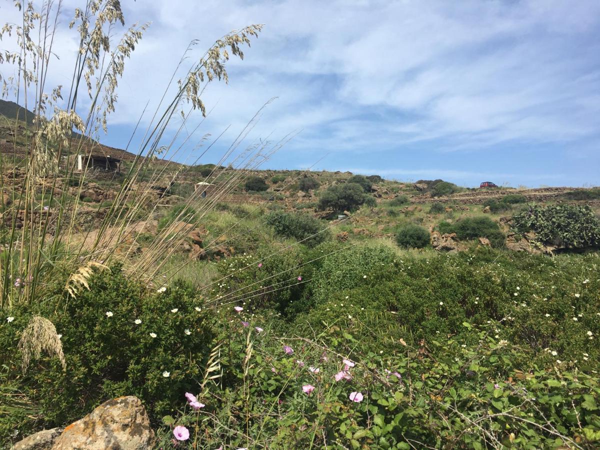 Dammusi Il Serralh -pantelleria-