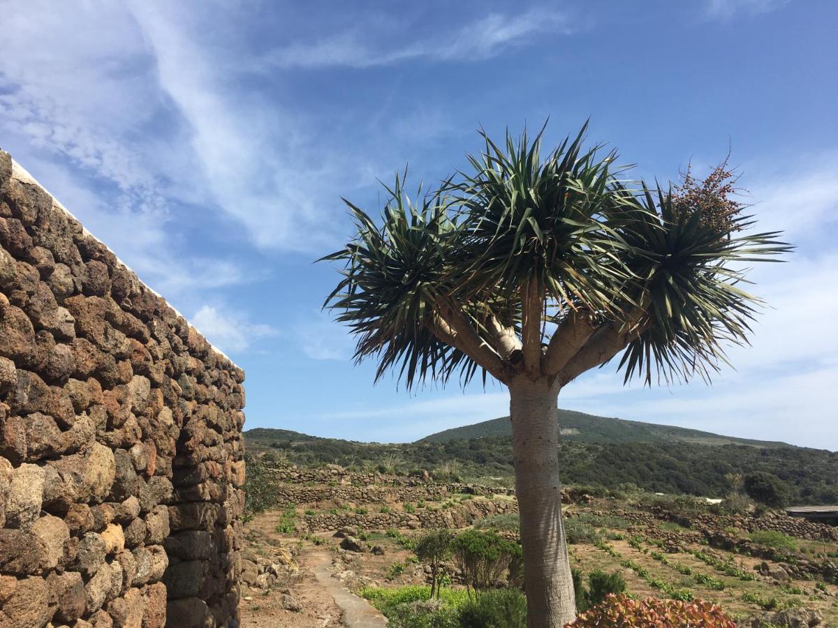 Holiday home Dammusi Il Serralh -pantelleria- Scauri (Sicily)