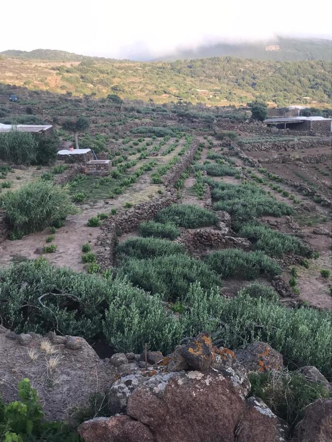 Dammusi Il Serralh -pantelleria- * Scauri (Sicily)