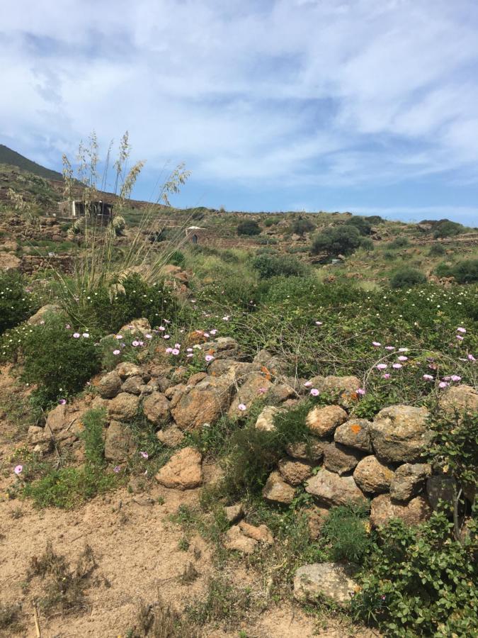 Dammusi Il Serralh -pantelleria- *