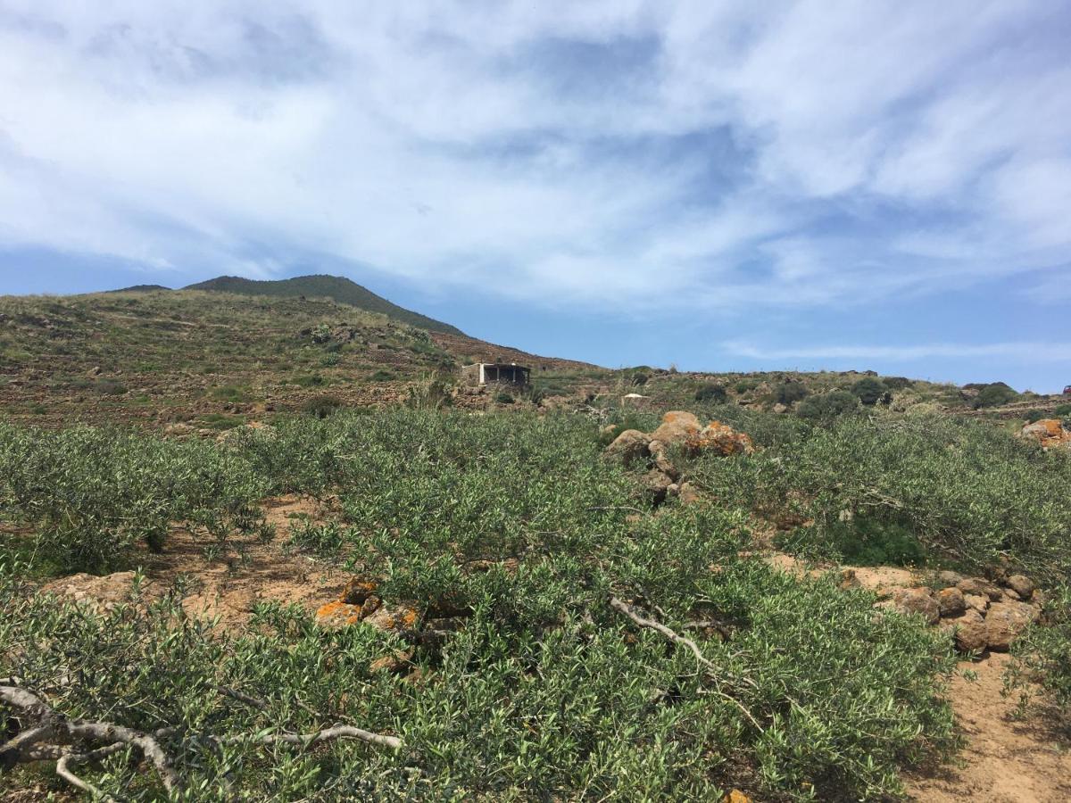 Dammusi Il Serralh -pantelleria- * Scauri (Sicily)