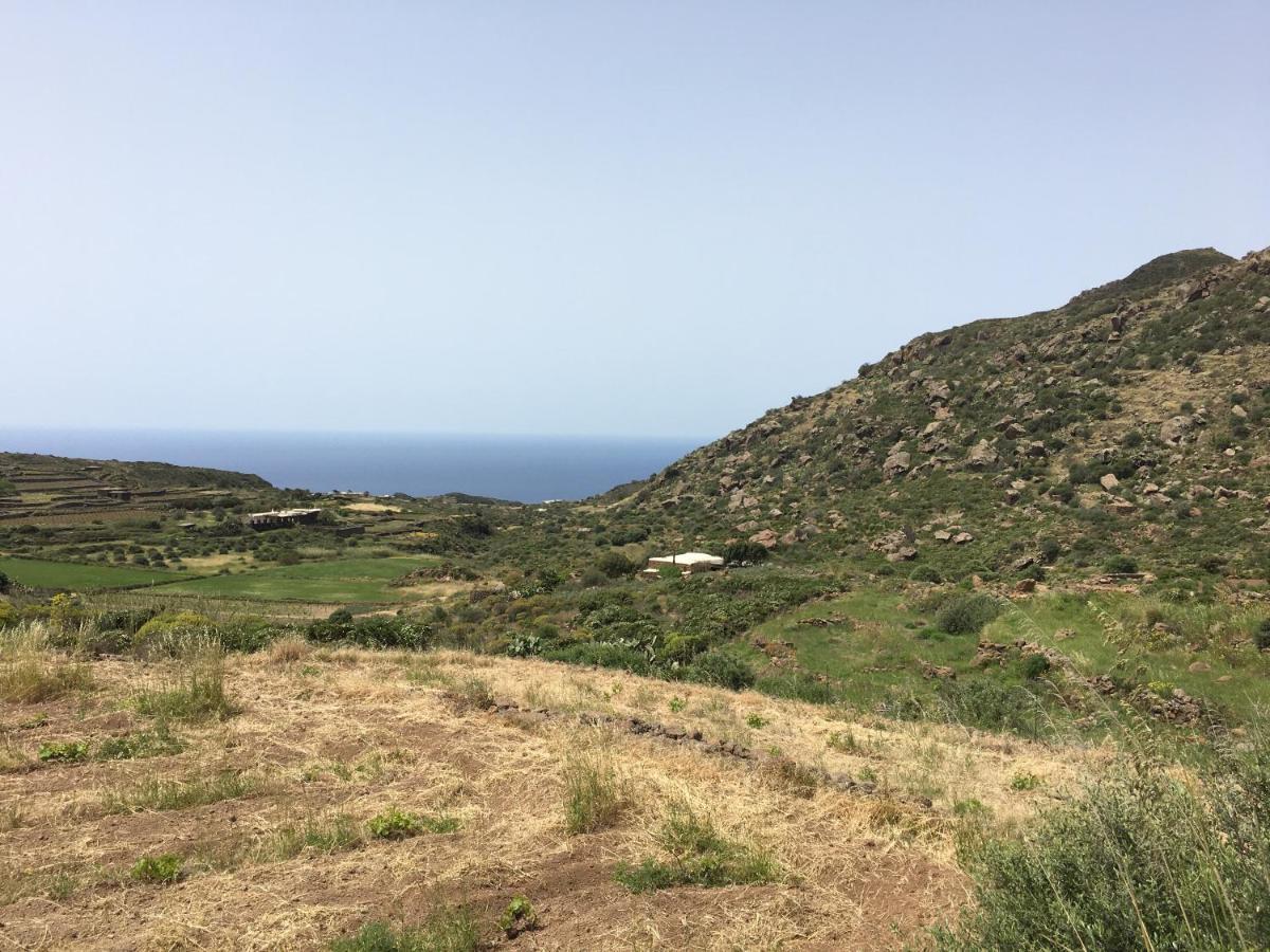 Dammusi Il Serralh -pantelleria- * Scauri (Sicily)