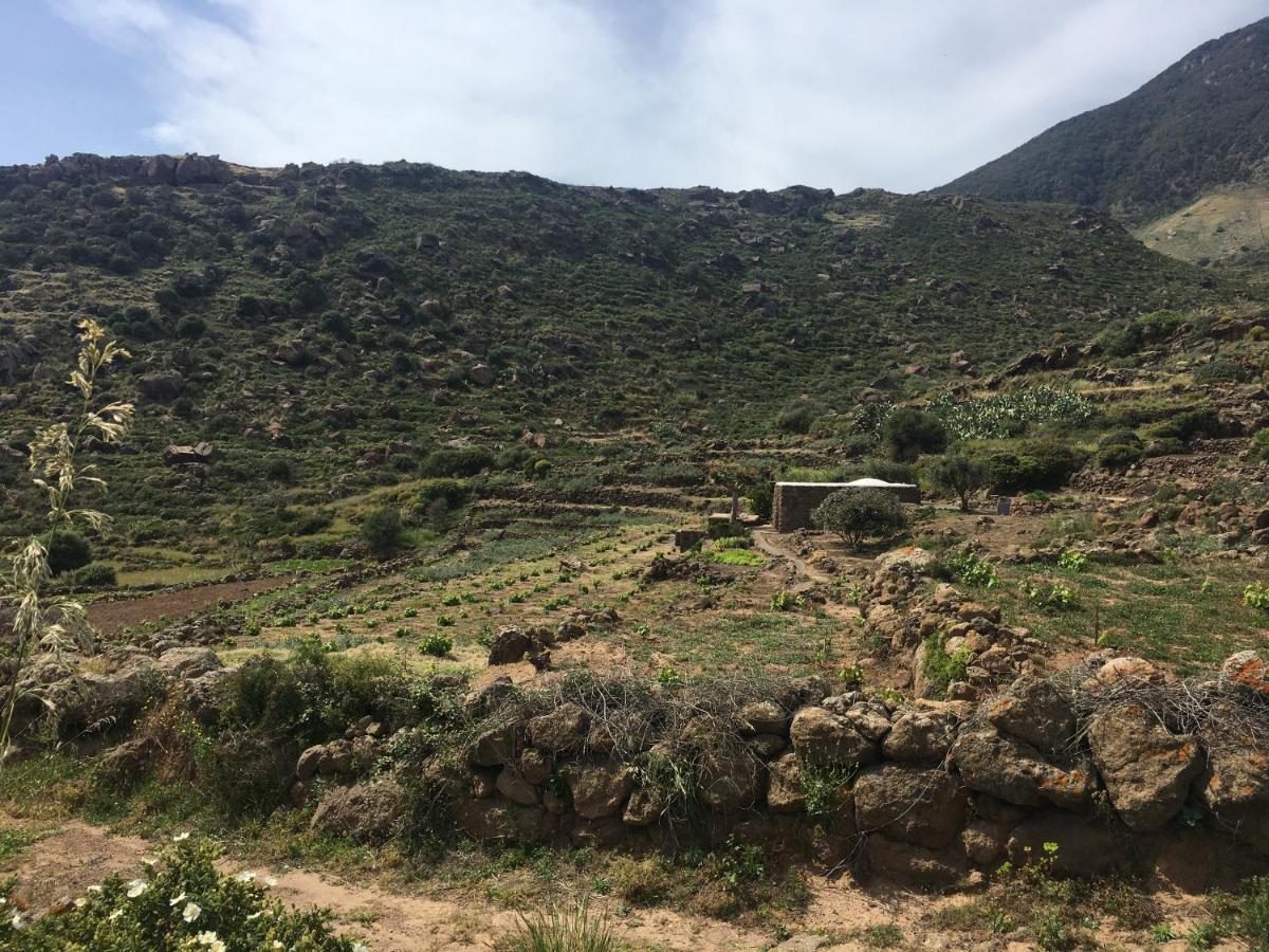 Holiday home Dammusi Il Serralh -pantelleria- *