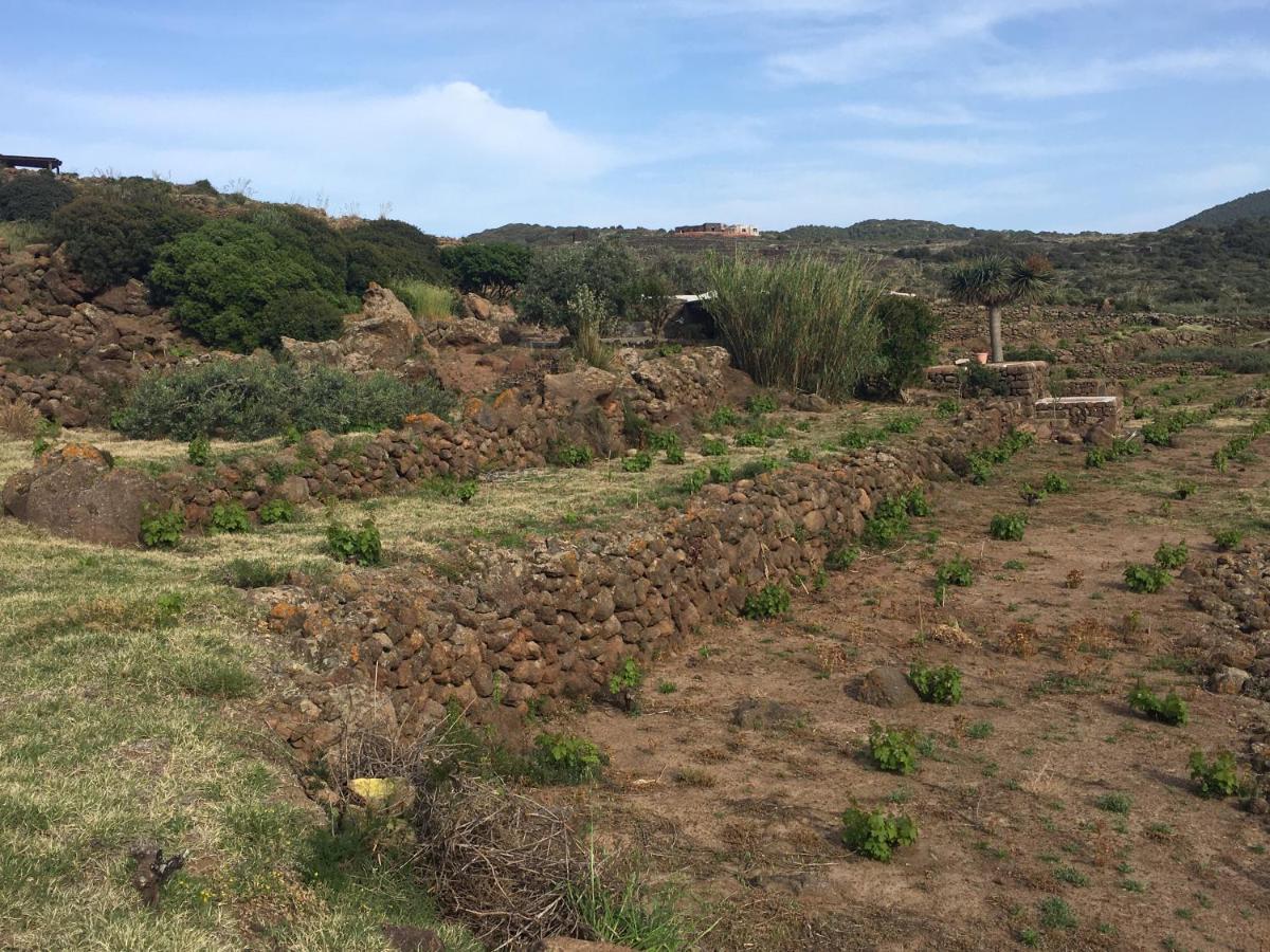 Dammusi Il Serralh -pantelleria- Scauri (Sicily)