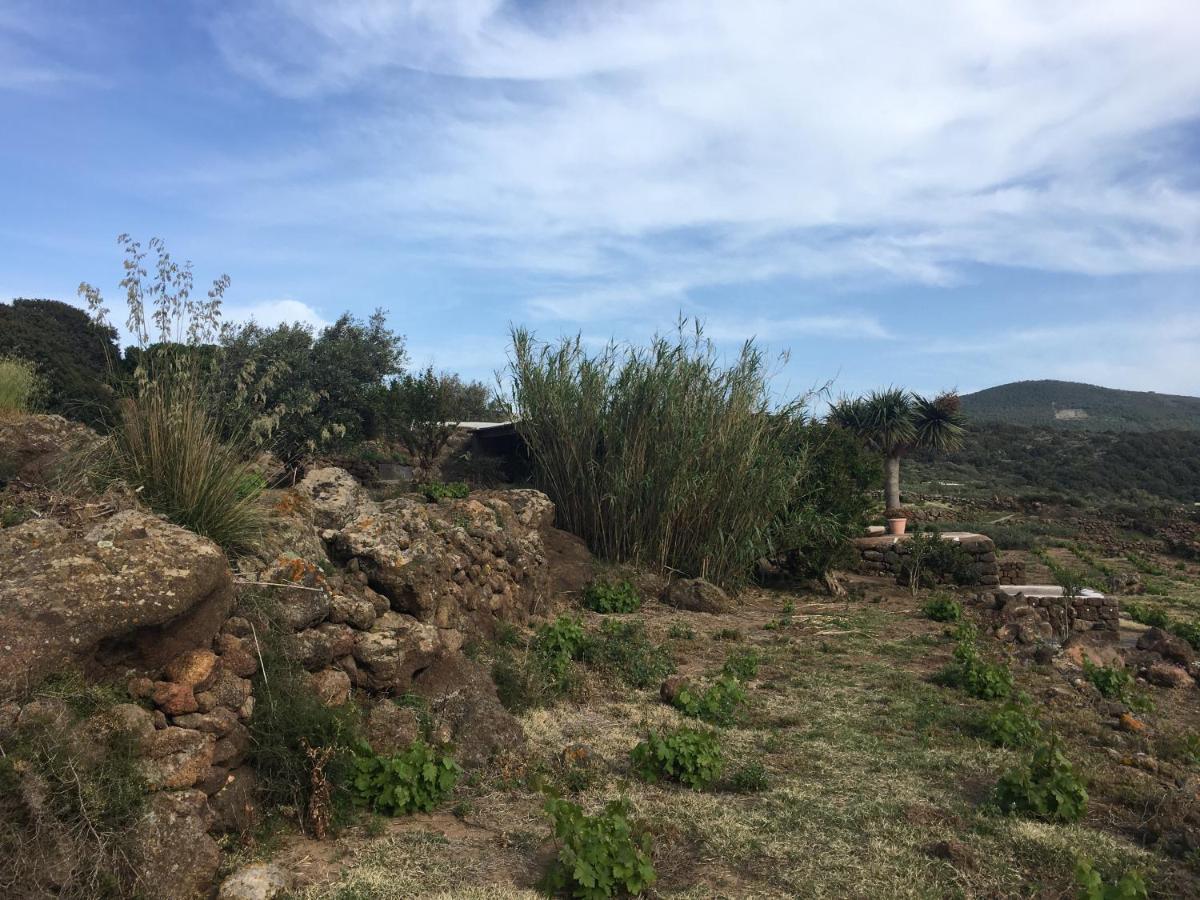 Holiday home Dammusi Il Serralh -pantelleria- Scauri (Sicily)