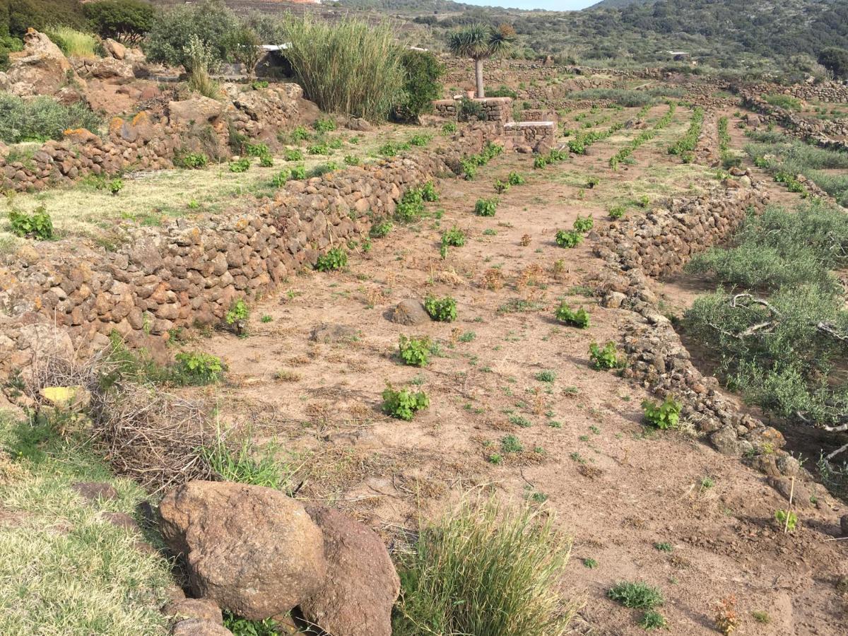 Holiday home Dammusi Il Serralh -pantelleria-