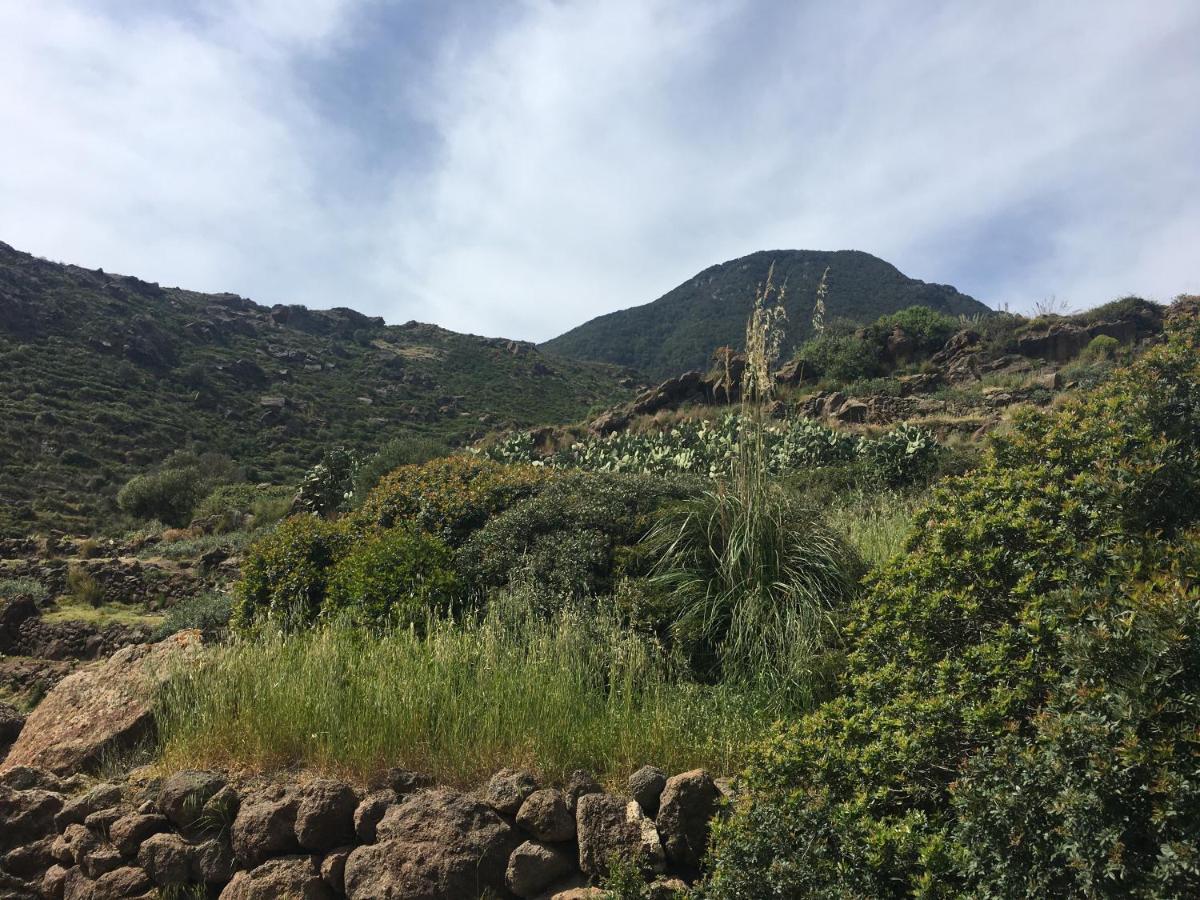 Holiday home Dammusi Il Serralh -pantelleria- Scauri (Sicily)