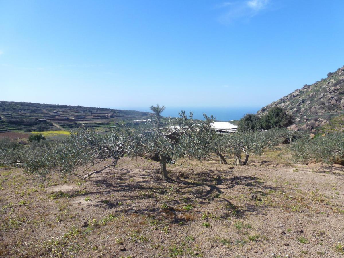 Dammusi Il Serralh -pantelleria- Holiday home