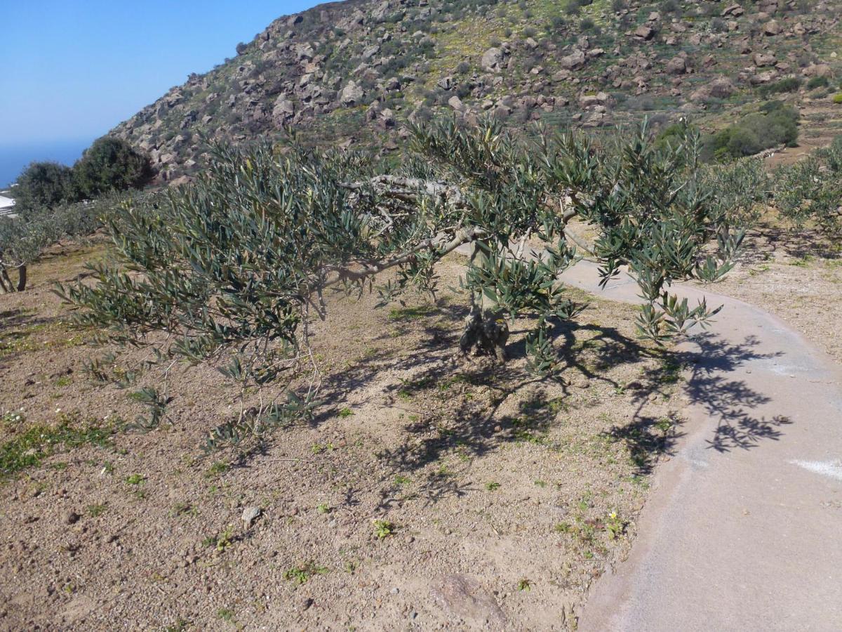 Dammusi Il Serralh -pantelleria- * Scauri (Sicily)