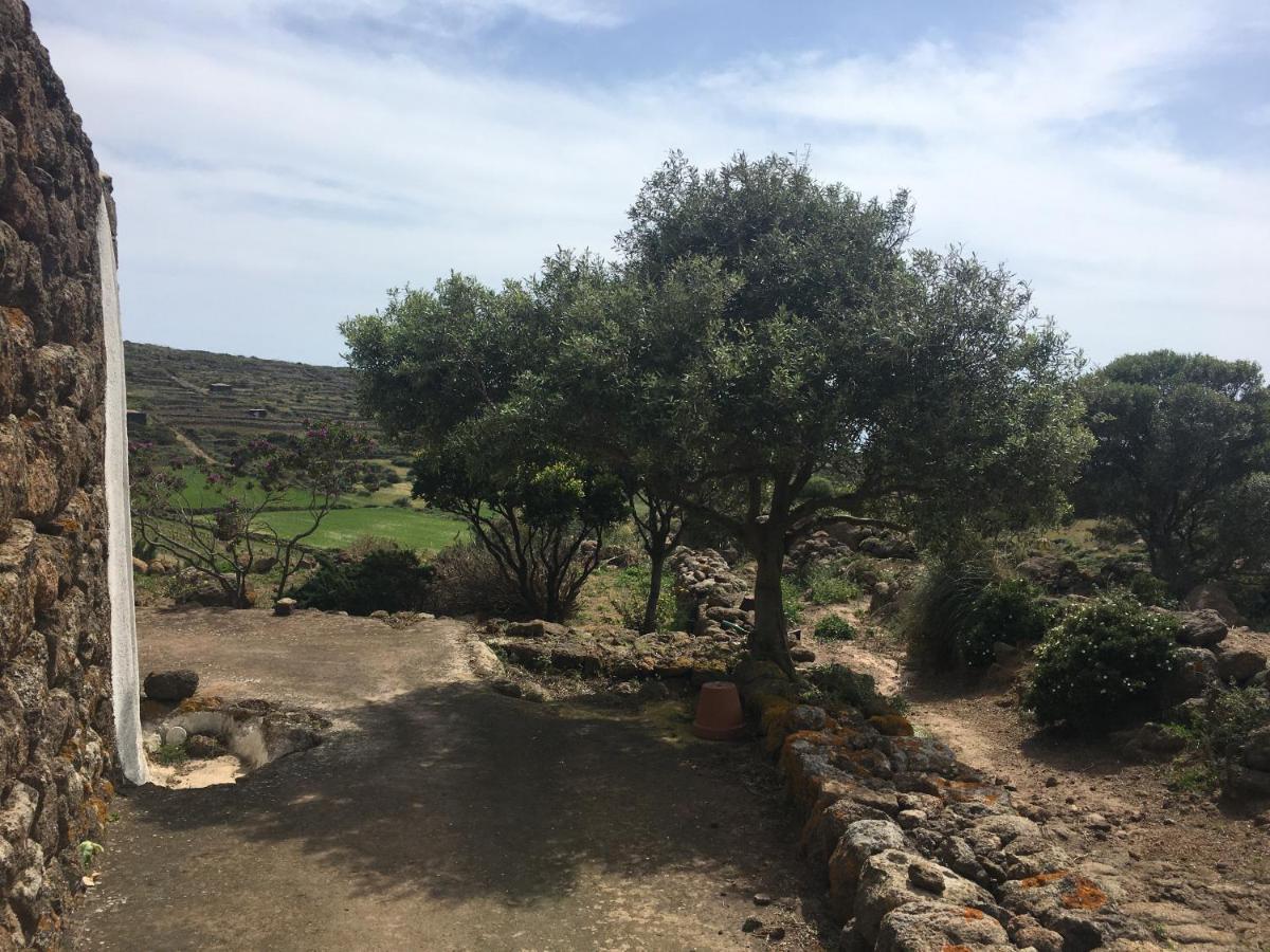 Dammusi Il Serralh -pantelleria- * Scauri (Sicily)