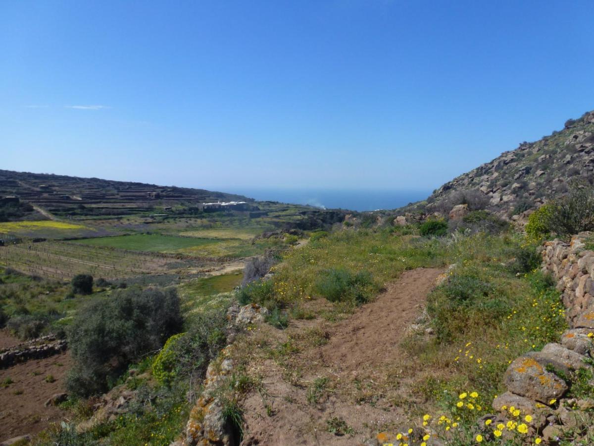 Holiday home Dammusi Il Serralh -pantelleria-