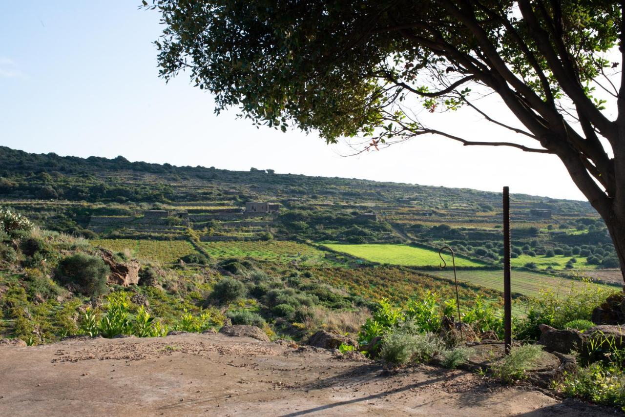 Dammusi Il Serralh -pantelleria- Holiday home Scauri (Sicily)